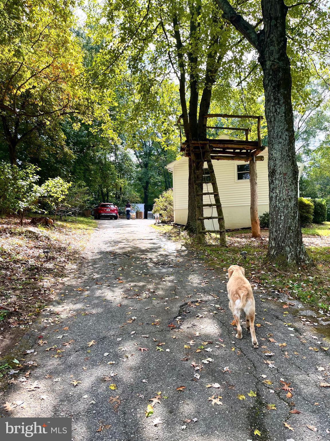 17420 Riffle Ford Road Germantown, MD 20874 - Photo 20 of 23 Gallery Image 20