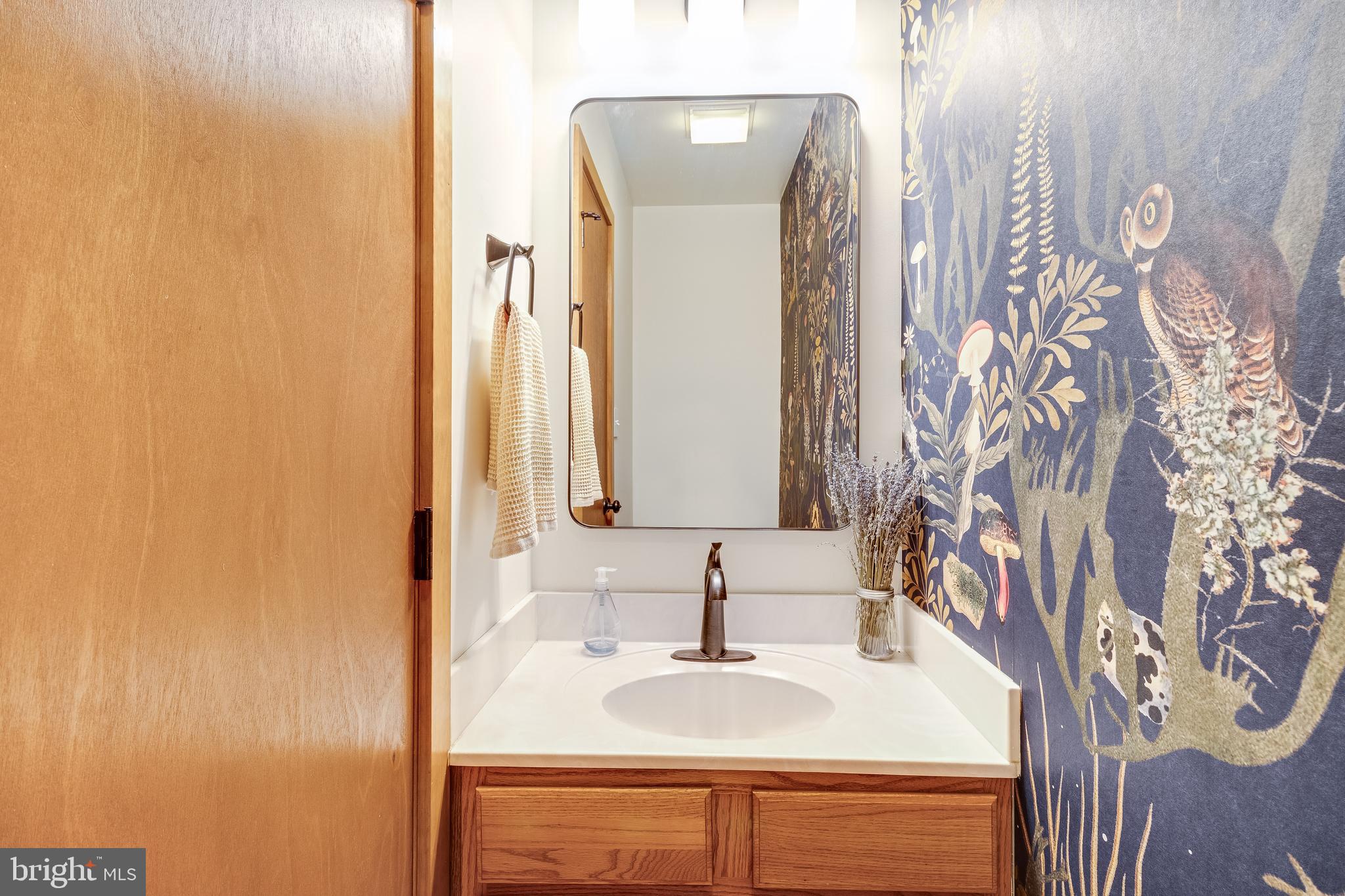 247 Frontier Trail Lusby, MD 20657 - Photo 33 of 62 a bathroom with a sink and a mirror