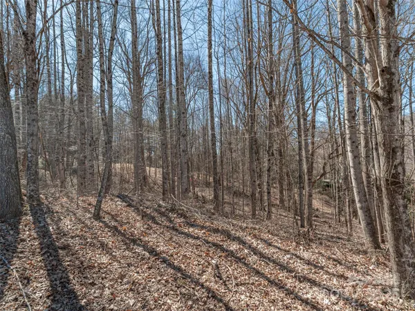 $50,000 | 0 Sams Trail, Unit 27, Waynesville, NC 28786