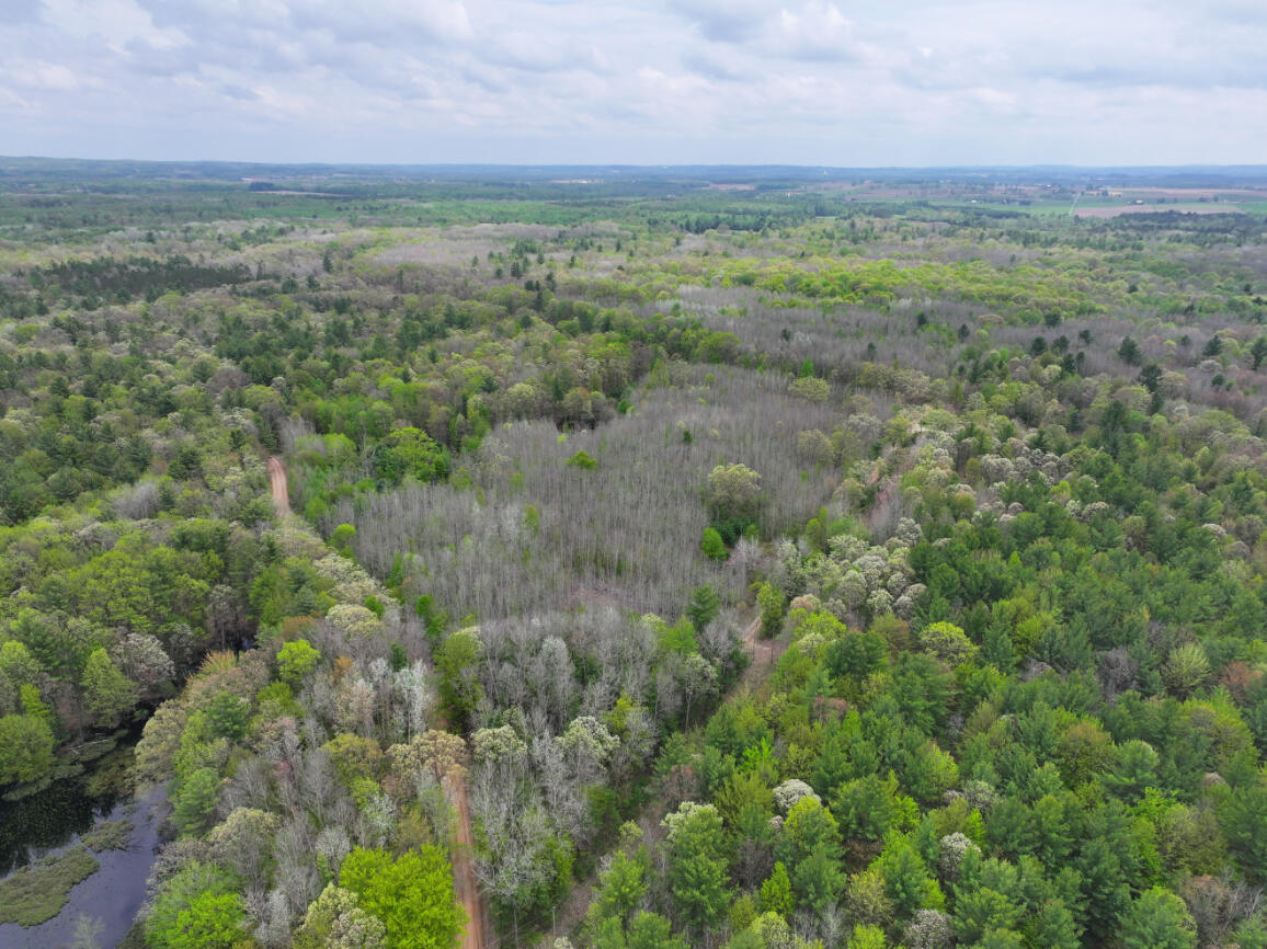 6.62 West Jefferson Road Pentwater, MI 49449 - Photo 7 of 21 DJI_20260512151521_0560_D