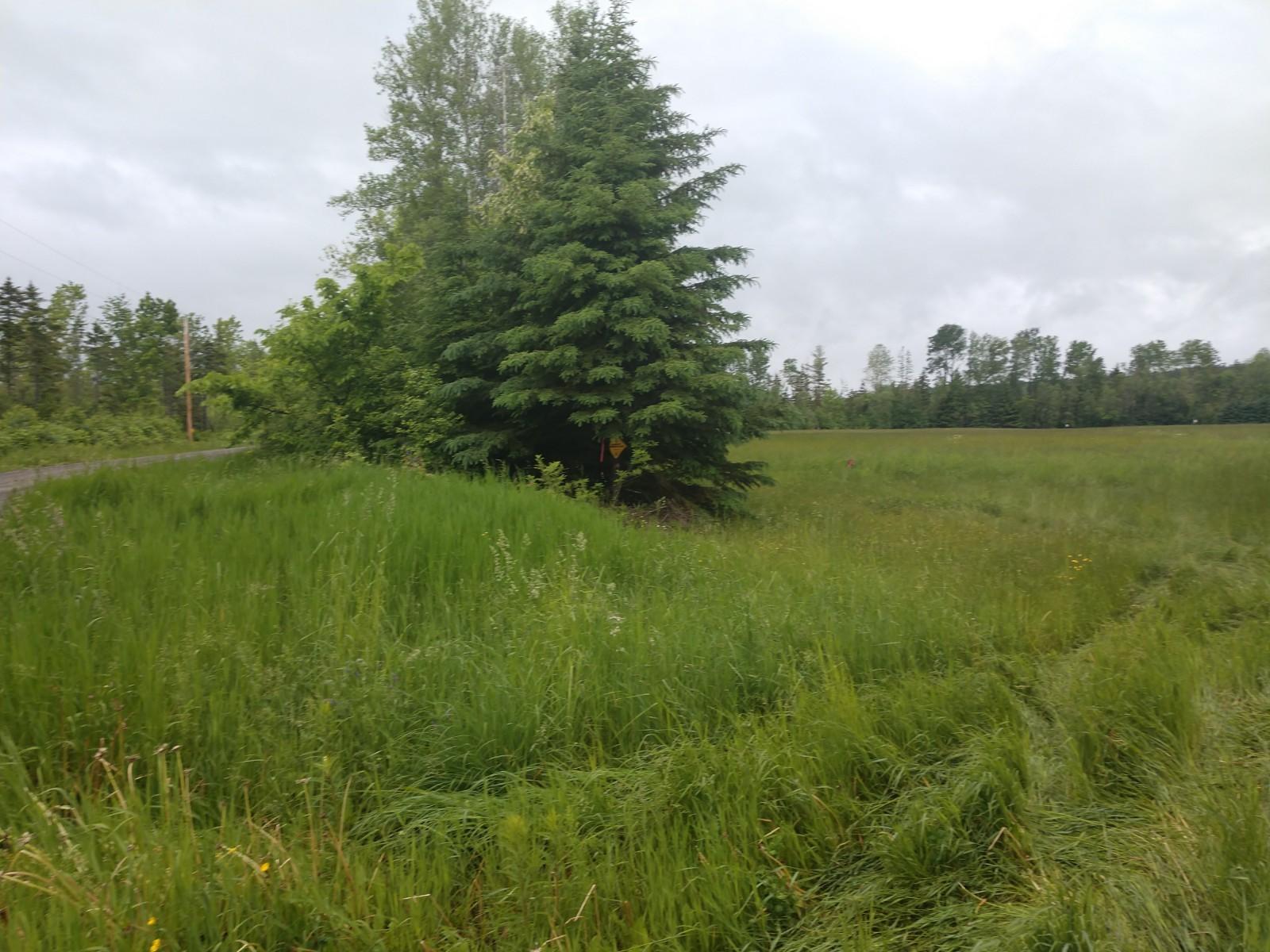 1368 Estabrook Road Amity, ME 04471 - Photo 7 of 9 IMG_20190621_134355558 (1)
