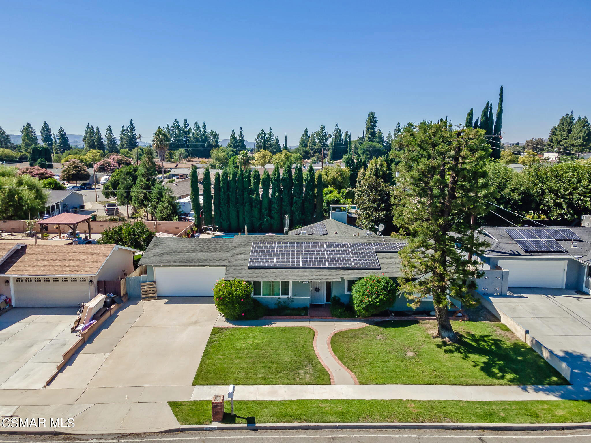 a view of a yard with plants