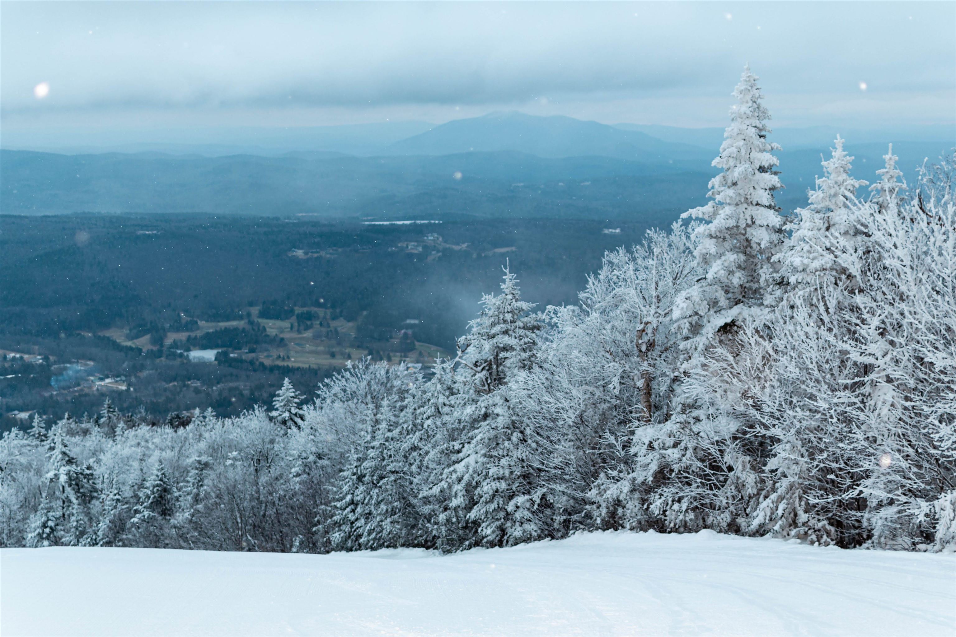 335 North Street Chester, VT 05143 - Photo 58 of 62