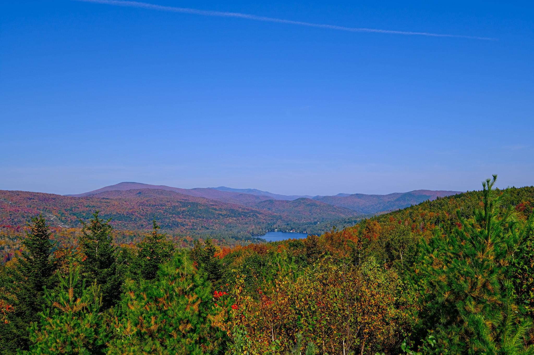 335 North Street Chester, VT 05143 - Photo 61 of 62