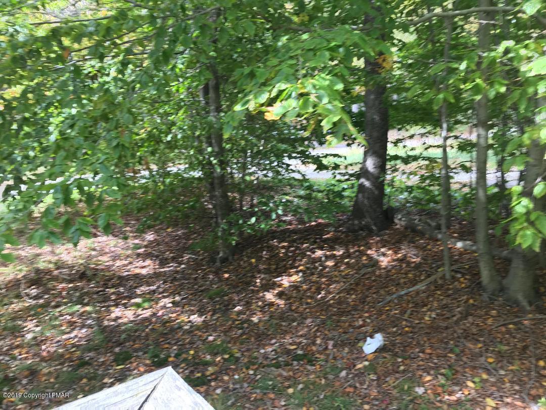 1129 Norfolk Road Tobyhanna, PA 18466 - Photo 13 of 14 a view of forest
