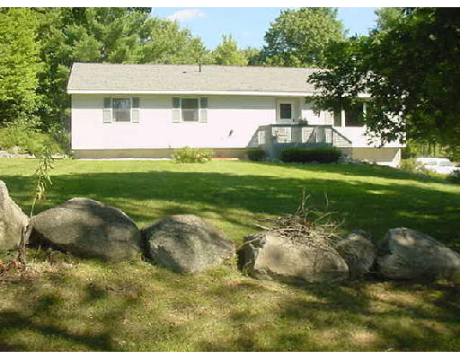 a view of a backyard with plants and a patio