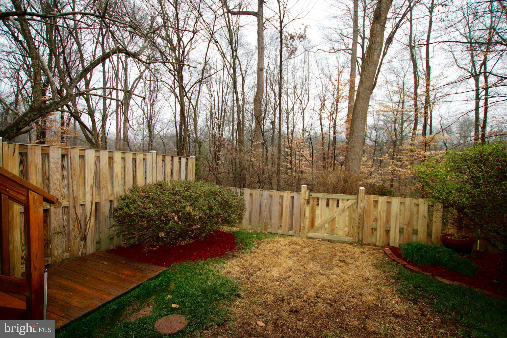 5270 Lonsdale Drive Springfield, VA 22151 - Photo 2 of 12 YARD BACKING TO TREES/PARK