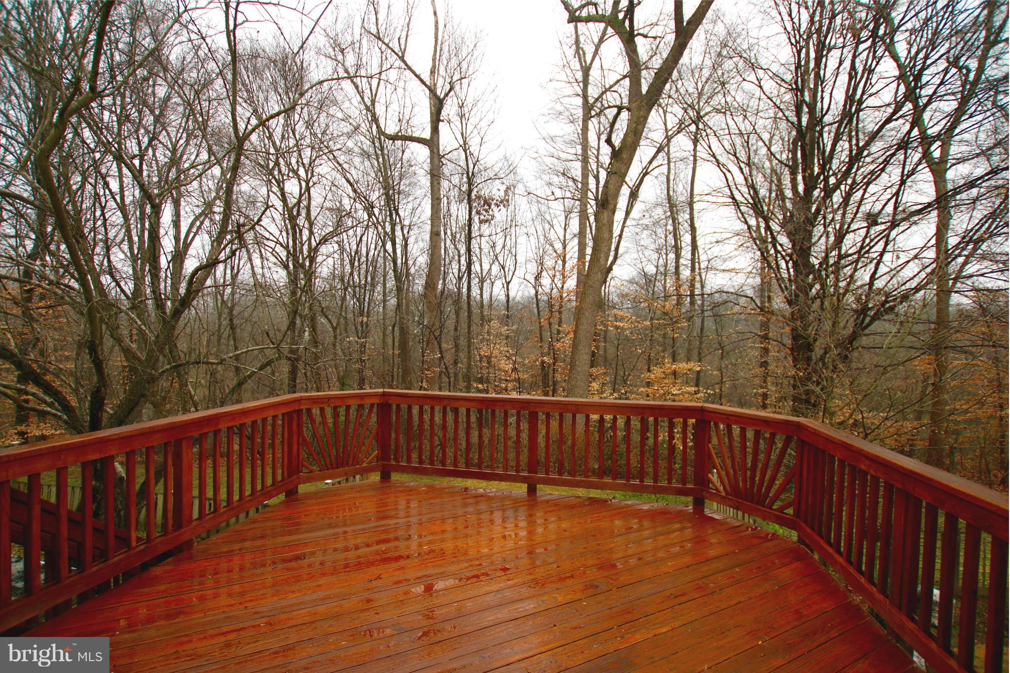 5270 Lonsdale Drive Springfield, VA 22151 - Photo 12 of 12 DECK