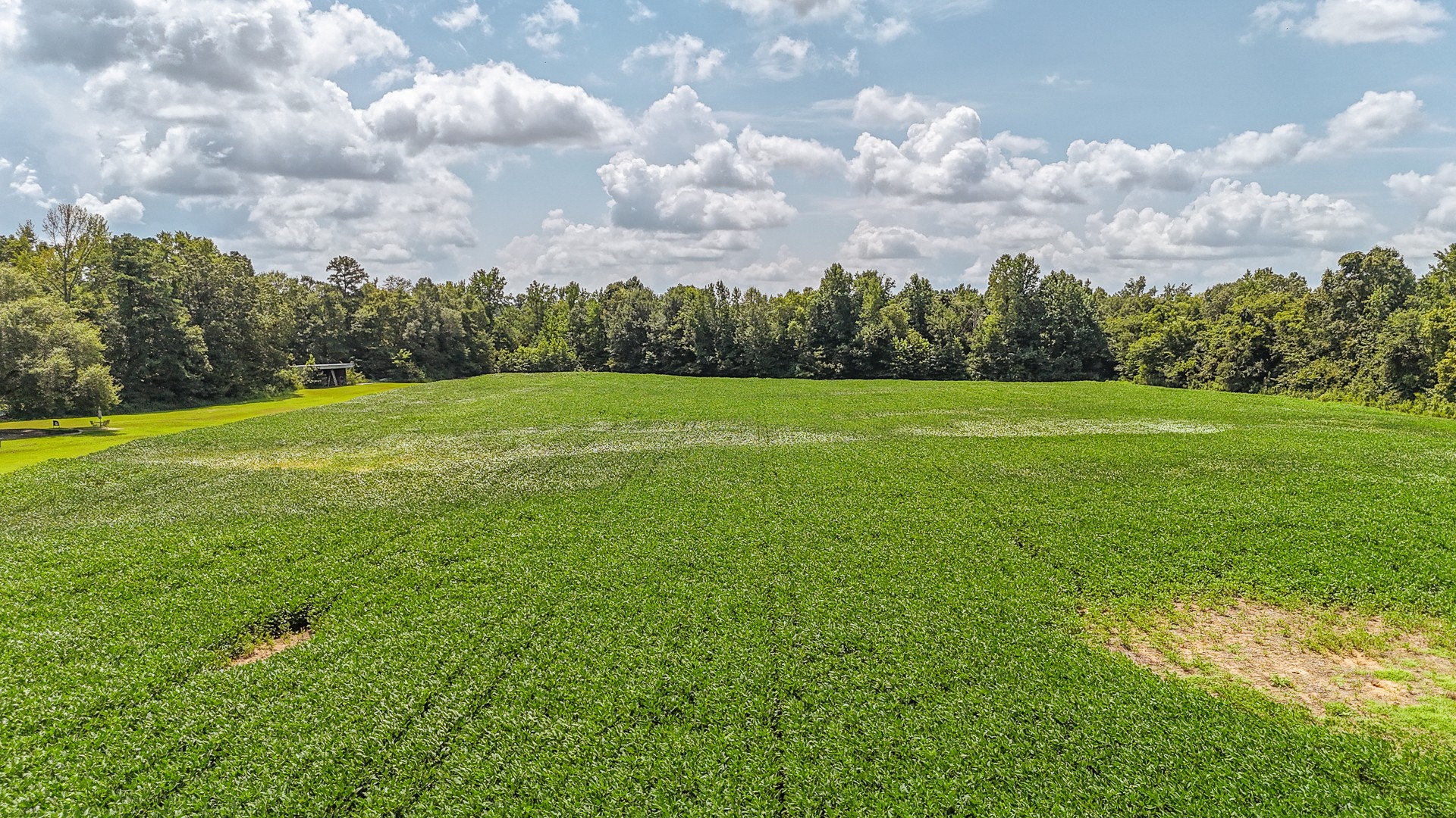 320 Rabbit Ranch Road Henderson, TN 38340 - Photo 55 of 66