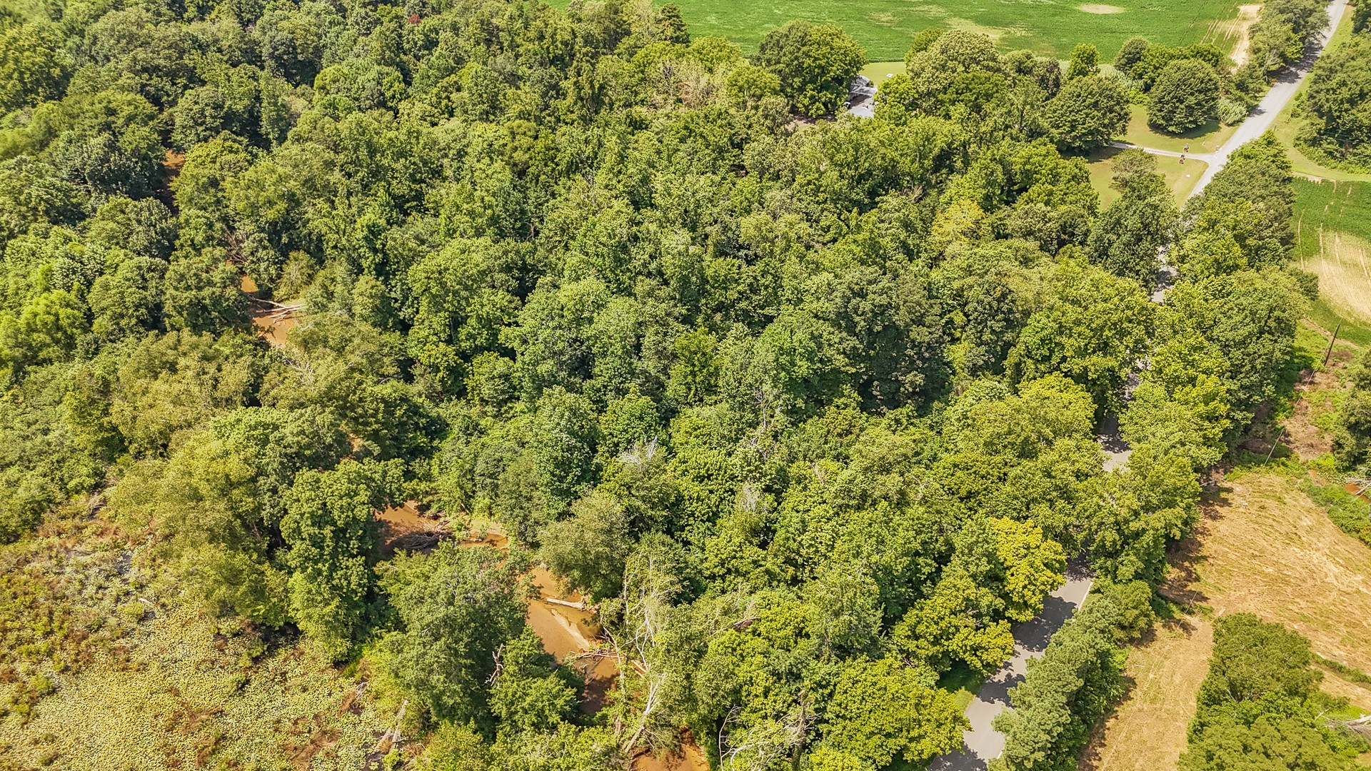 320 Rabbit Ranch Road Henderson, TN 38340 - Photo 56 of 66 a view of a lush green field
