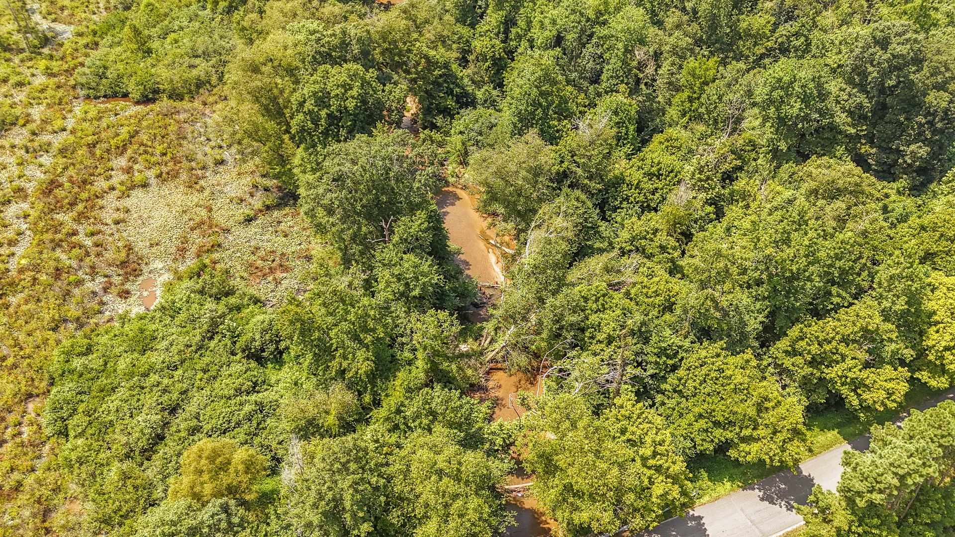 320 Rabbit Ranch Road Henderson, TN 38340 - Photo 58 of 66