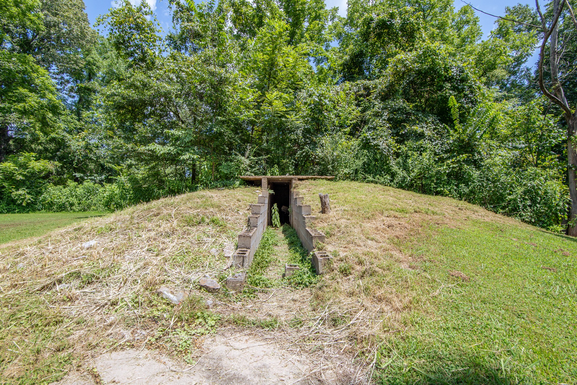320 Rabbit Ranch Road Henderson, TN 38340 - Photo 7 of 66 a view of a yard with a tree