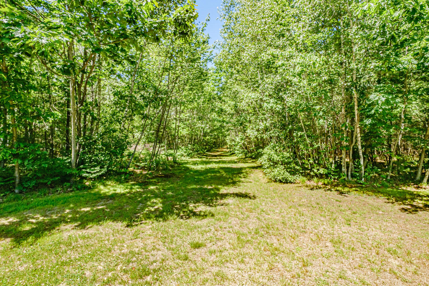 710 Goodwins Mills Road Dayton, ME 04005 - Photo 93 of 97 yard
