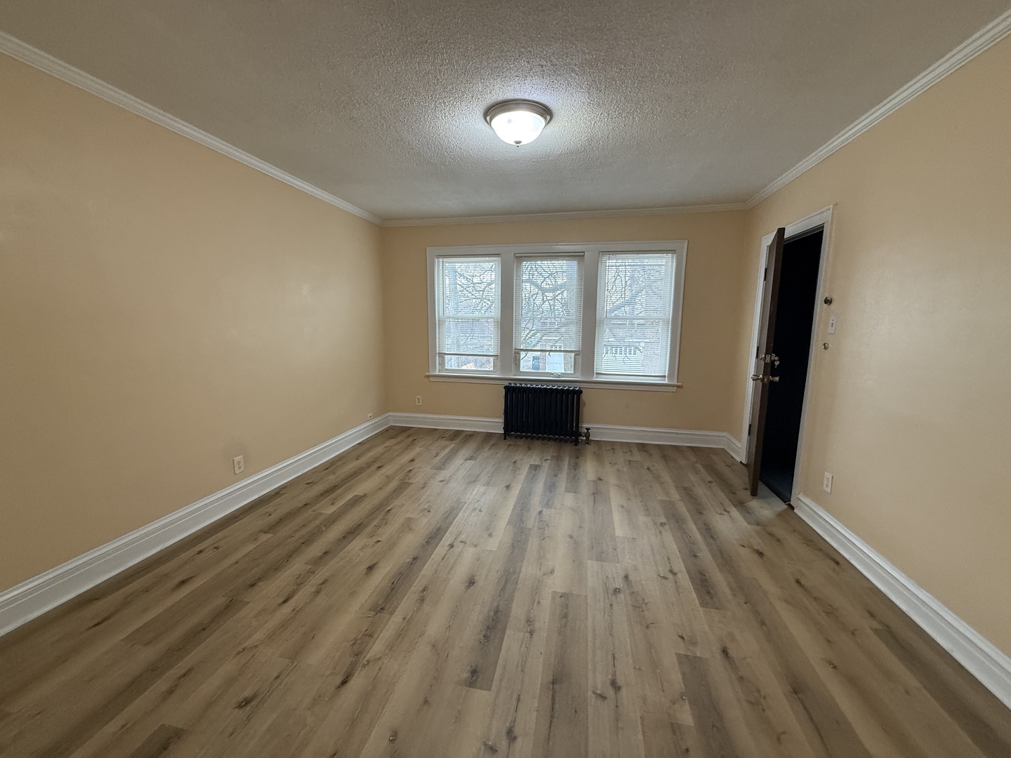 6441 West 23rd Street, Unit 14 Berwyn, IL 60402 - Photo 4 of 11 an empty room with wooden floor and windows