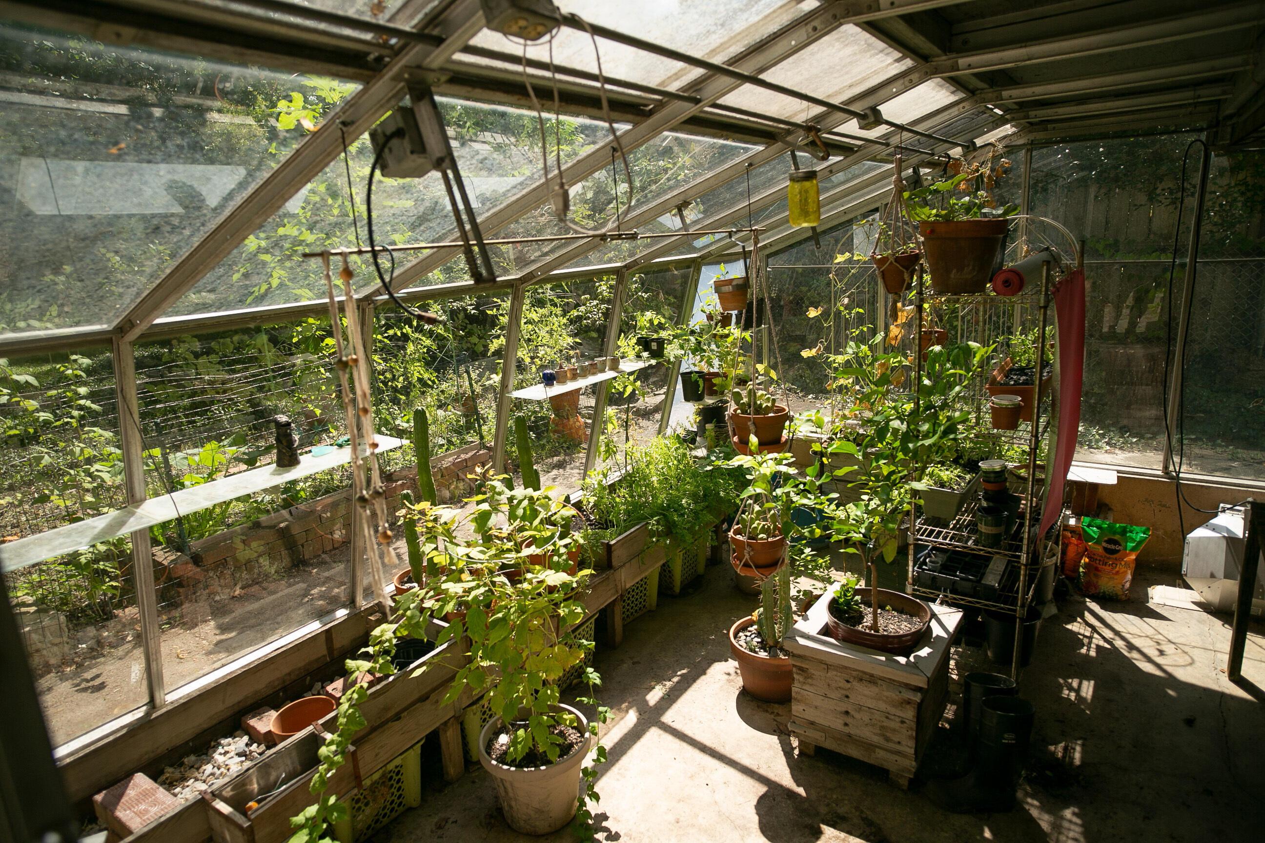 2169 Lytham Road Columbus, OH 43220 - Photo 14 of 19 Greenhouse
