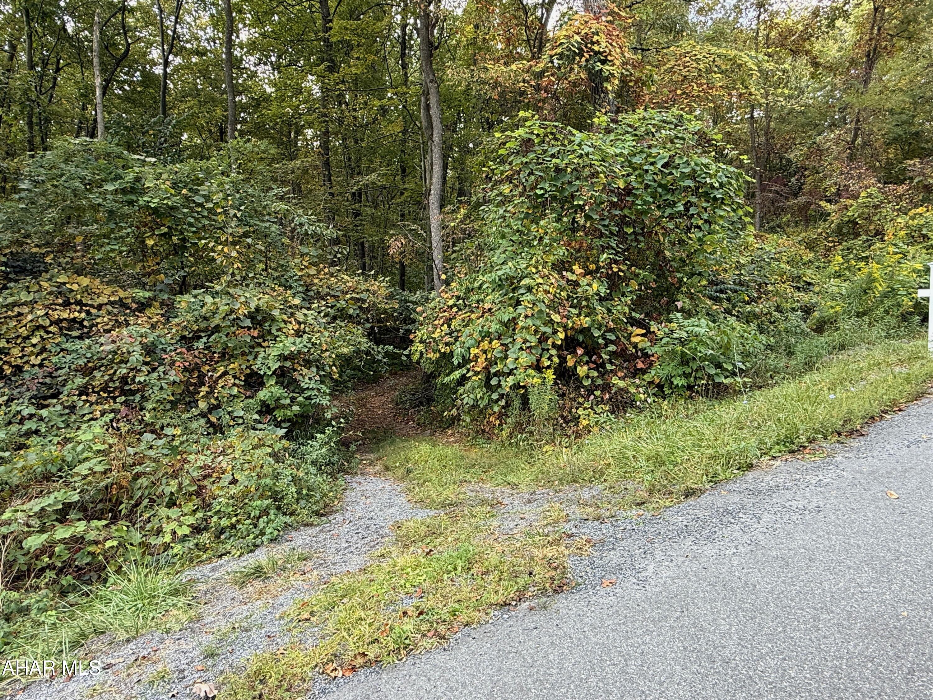 Off Ridgewood Drive New Paris, PA 15554 - Photo 3 of 19