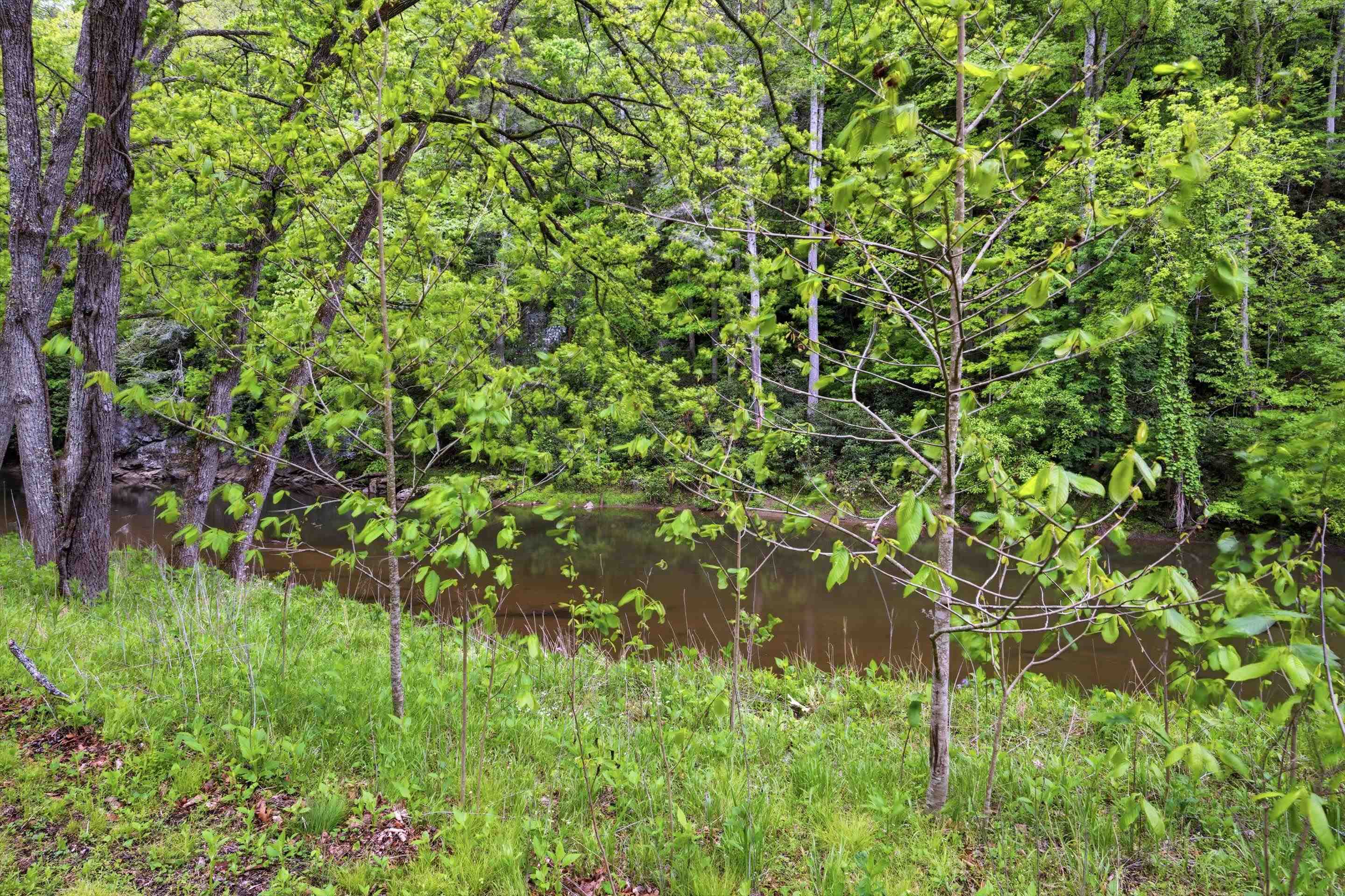 Tbd Chestnut Ridge Road Riner, VA 24149 - Photo 43 of 58 Gallery Image 43