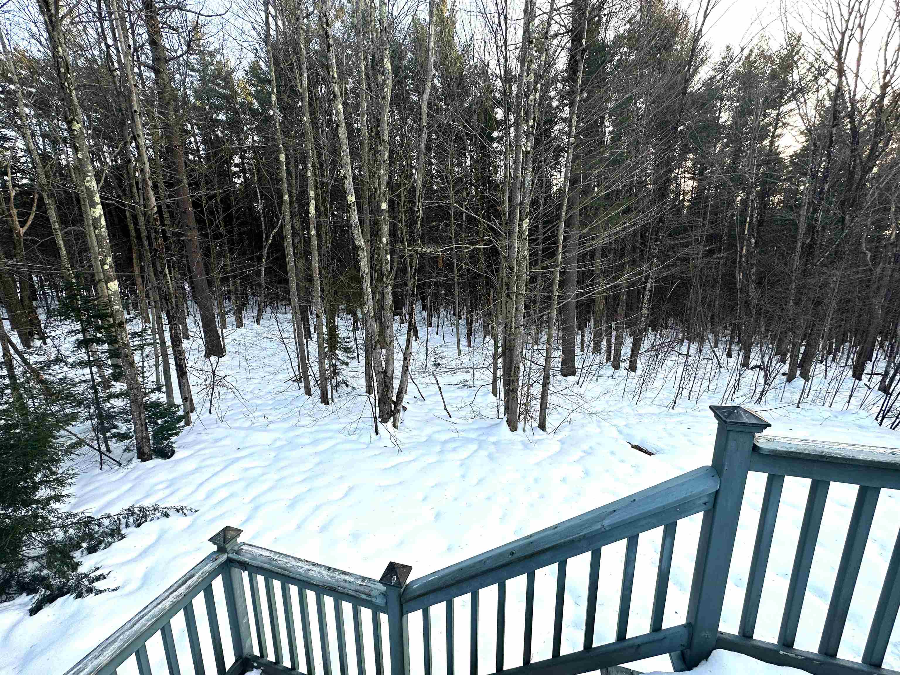 50 Timber Lane Wardsboro, VT 05360 - Photo 27 of 36