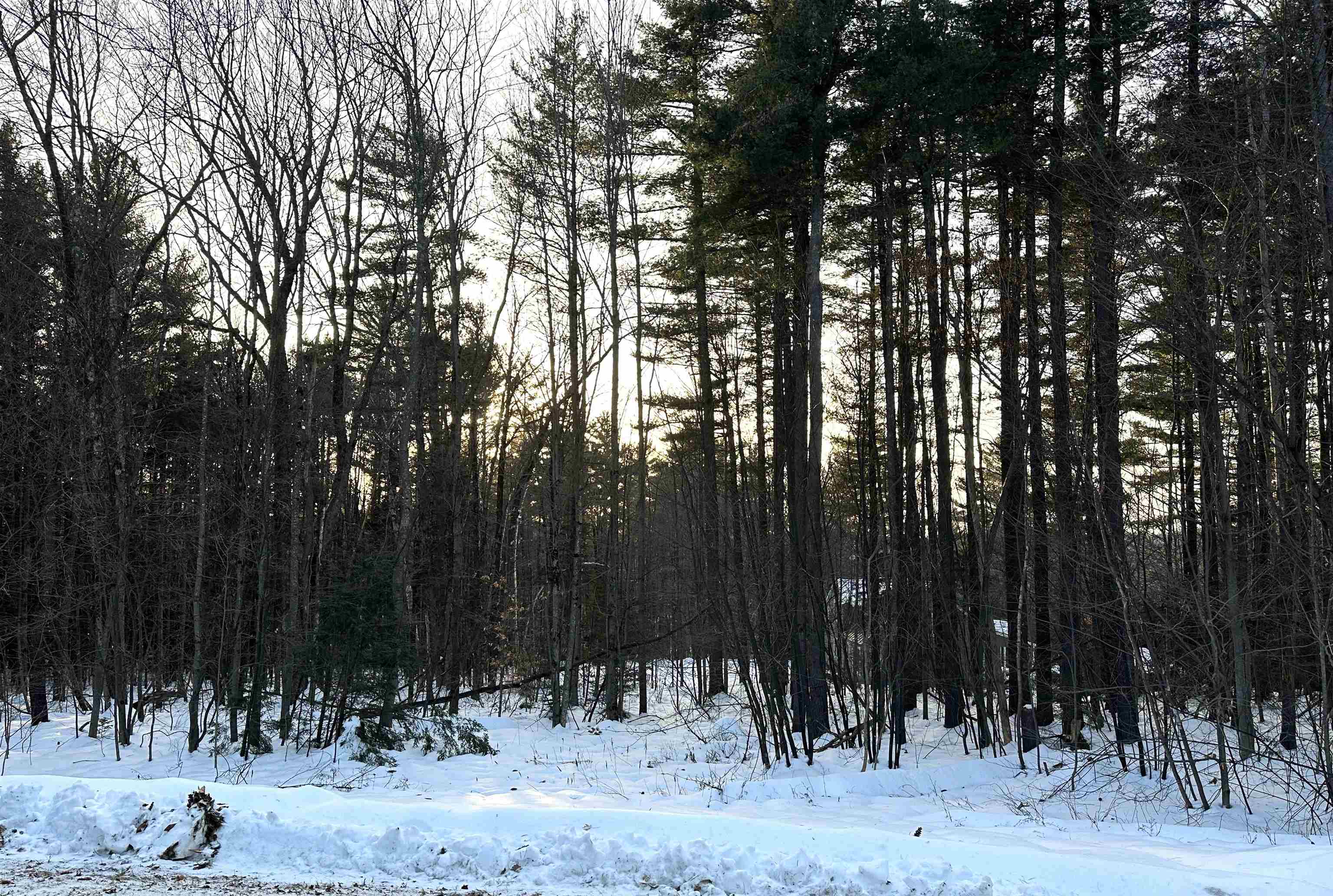 50 Timber Lane Wardsboro, VT 05360 - Photo 29 of 36