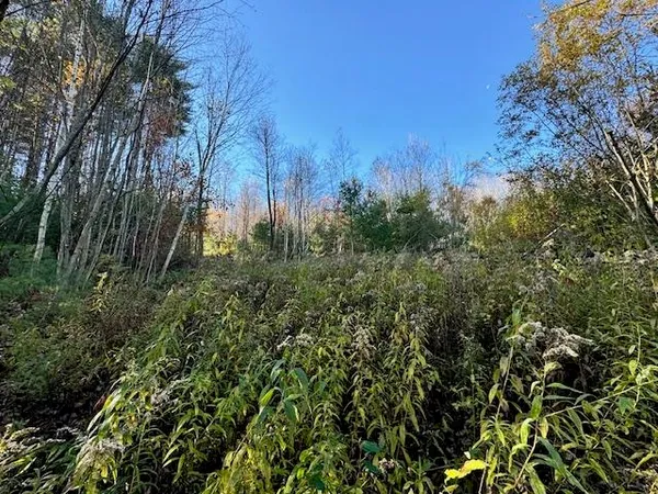 $75,000 | 0 Route 132 Strafford Vt 05070, South Strafford, VT 05070