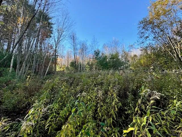 $75,000 | 0 Route 132 Strafford Vt 05070, South Strafford, VT 05070