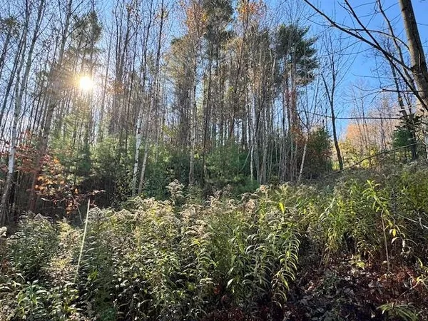 $75,000 | 0 Route 132 Strafford Vt 05070, South Strafford, VT 05070