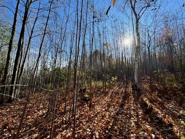 $75,000 | 0 Route 132 Strafford Vt 05070, South Strafford, VT 05070