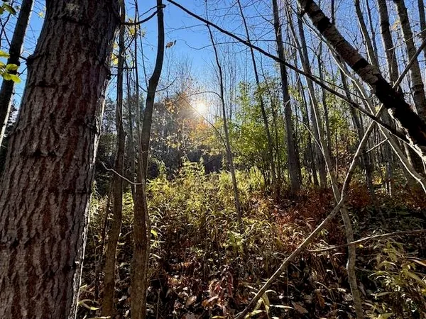 $75,000 | 0 Route 132 Strafford Vt 05070, South Strafford, VT 05070