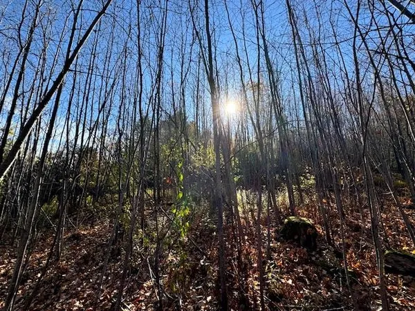 $75,000 | 0 Route 132 Strafford Vt 05070, South Strafford, VT 05070