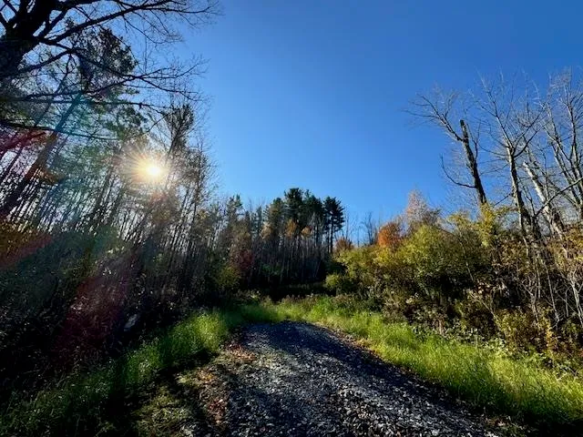 $75,000 | 0 Route 132 Strafford Vt 05070, South Strafford, VT 05070