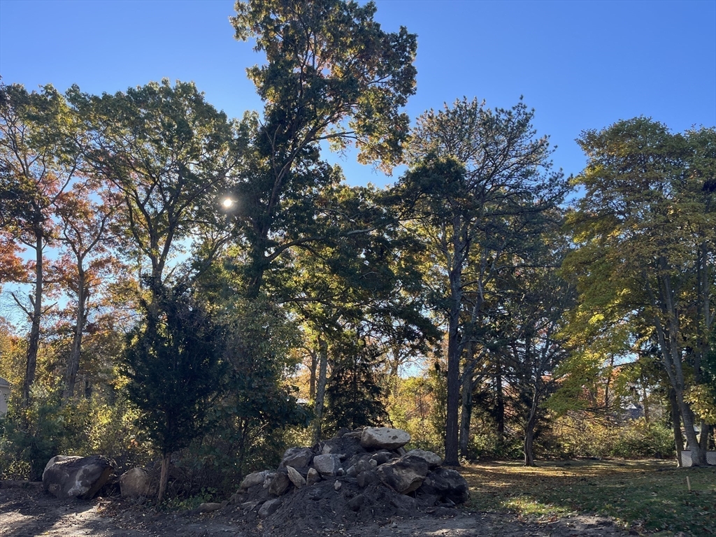 0 Stoneledge Road South Dartmouth, MA 02748 - Photo 3 of 7 a view of a tree in the middle of a yard