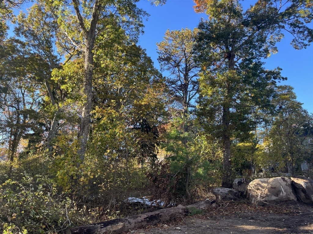 0 Stoneledge Road South Dartmouth, MA 02748 - Photo 4 of 7 a view of outdoor space and yard
