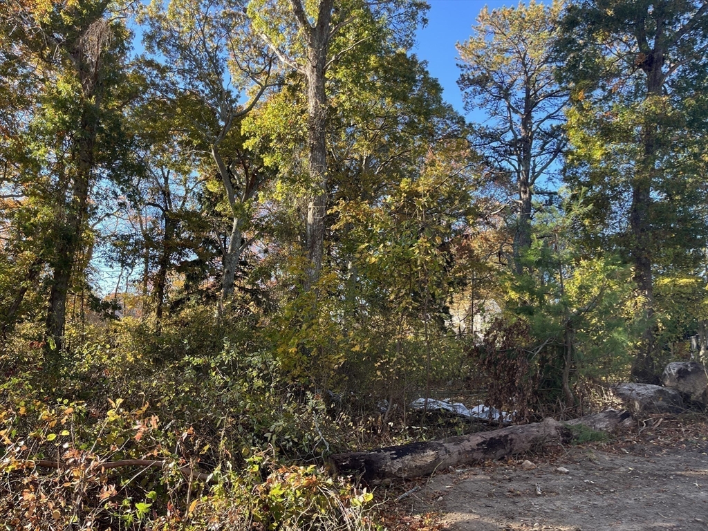 0 Stoneledge Road South Dartmouth, MA 02748 - Photo 5 of 7 a view of a tree in a yard