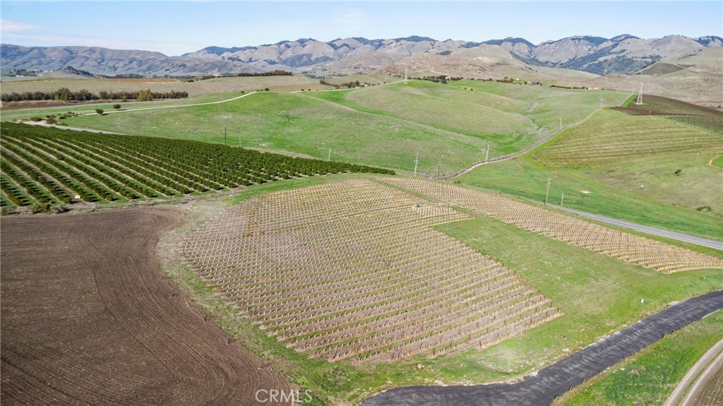 a view of an aerial view of residential houses with outdoor space and river