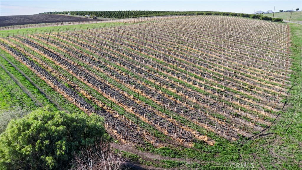 7114 Orcutt Road San Luis Obispo, CA 93401 - Photo 5 of 9 a view of a pathway both side of building