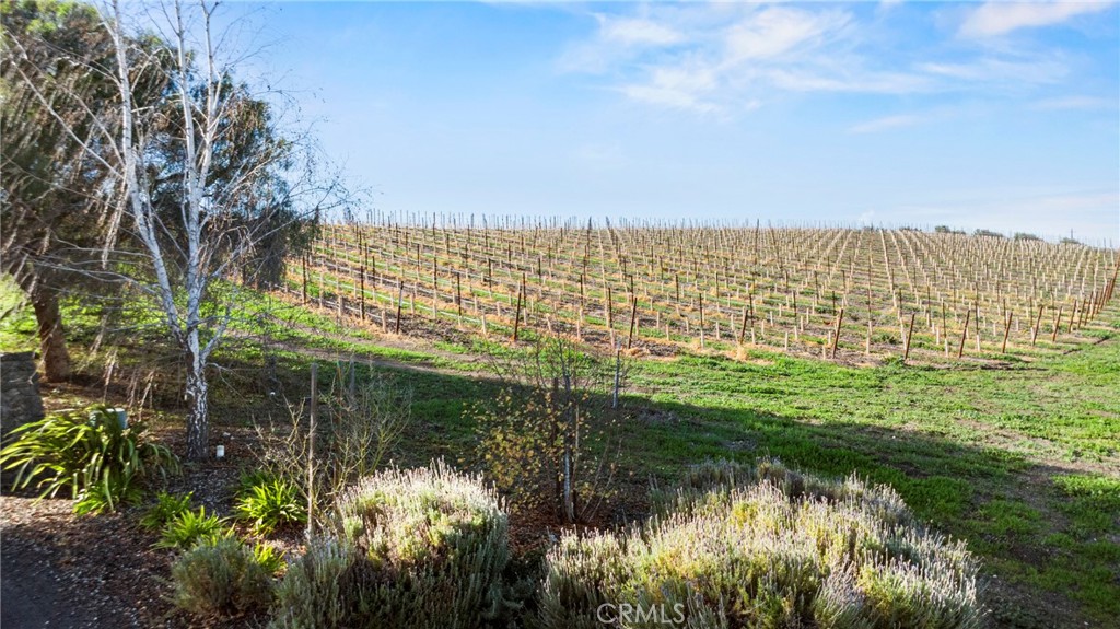 7114 Orcutt Road San Luis Obispo, CA 93401 - Photo 9 of 9 a view of a lake with a yard