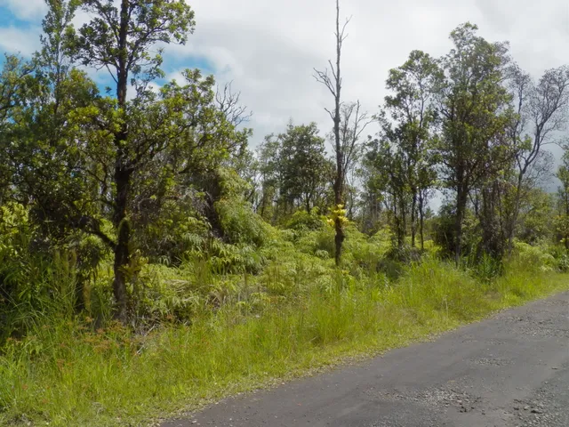 a view of a lake view with a large tree
