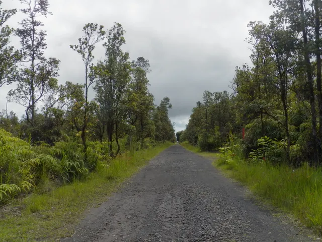 a big yard with lots of green space and deers
