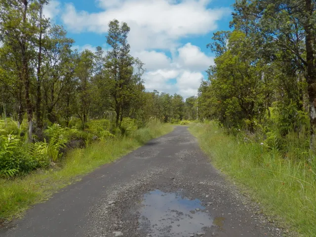 a view of a road with a yard