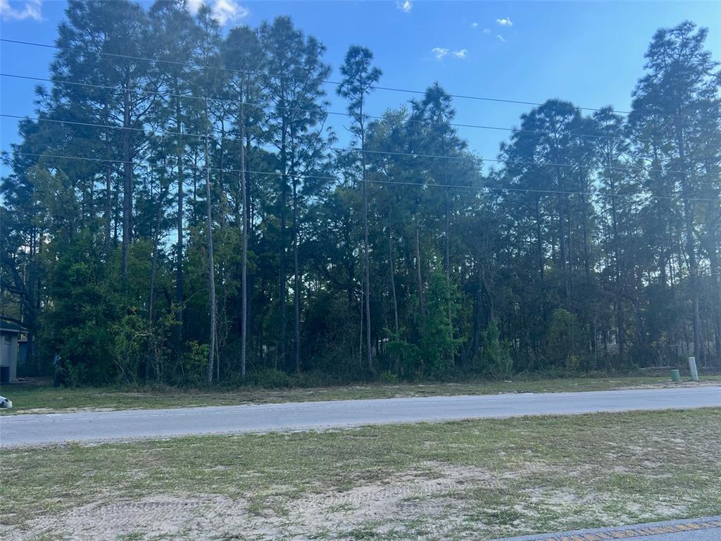 Marion Oaks Trail Ocala, FL 34473 - Photo 1 of 1