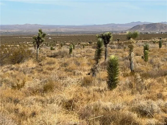 a view of lake and mountain