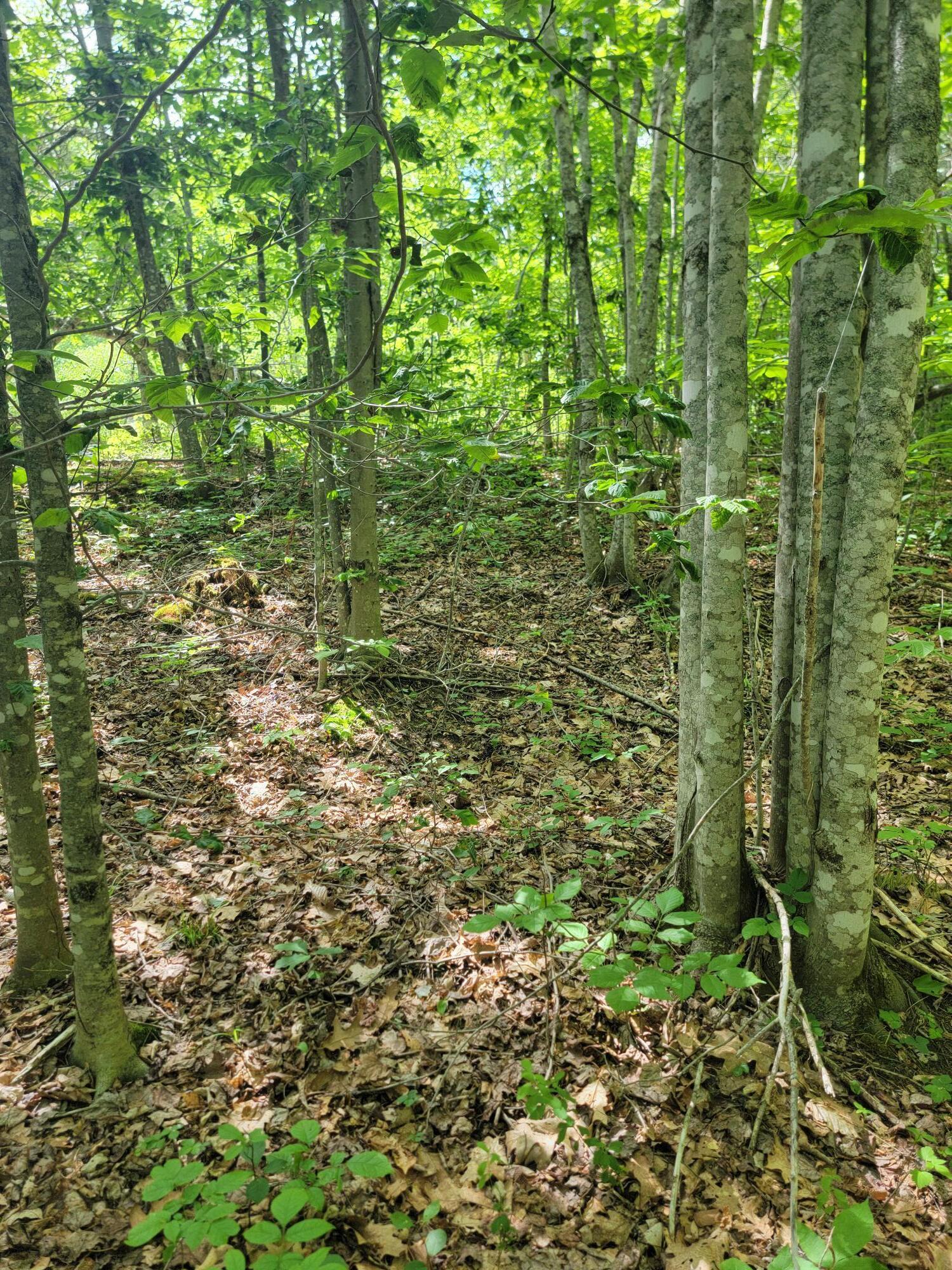477 Hadley Mill Road Jackson, ME 04921 - Photo 22 of 32