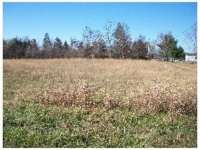 Rambo Road Lot 8