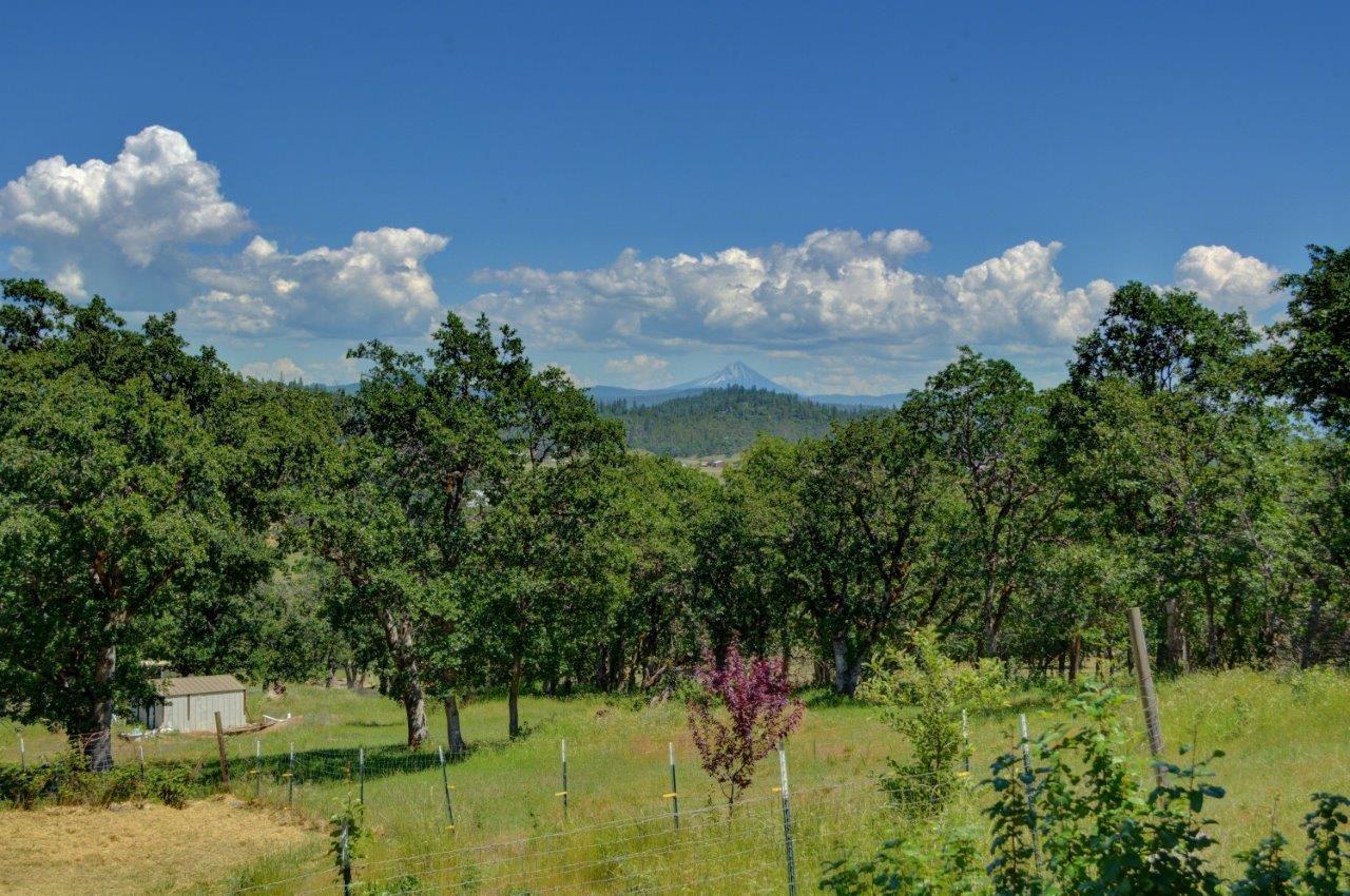 15987 Jones Road White City, OR 97503 - Photo 19 of 22 Additional Photo