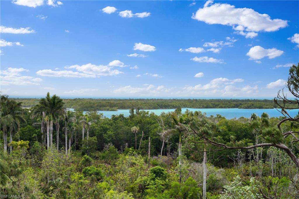 13945 Old Coast Road, Unit 504 Naples, FL 34110 - Photo 15 of 35 Peaceful water and nature