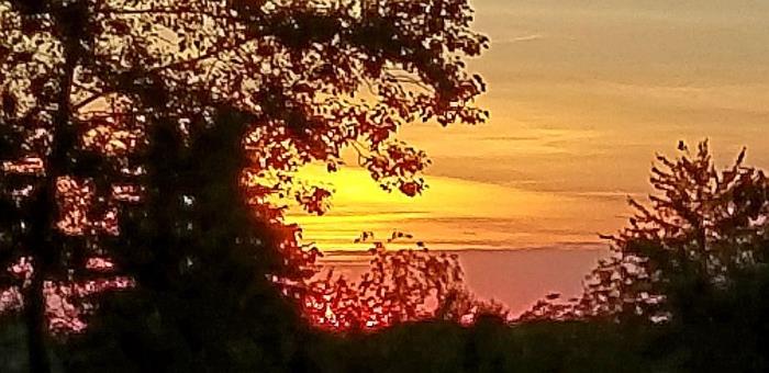 239 Good Hill Road Roxbury, CT 06783 - Photo 51 of 55