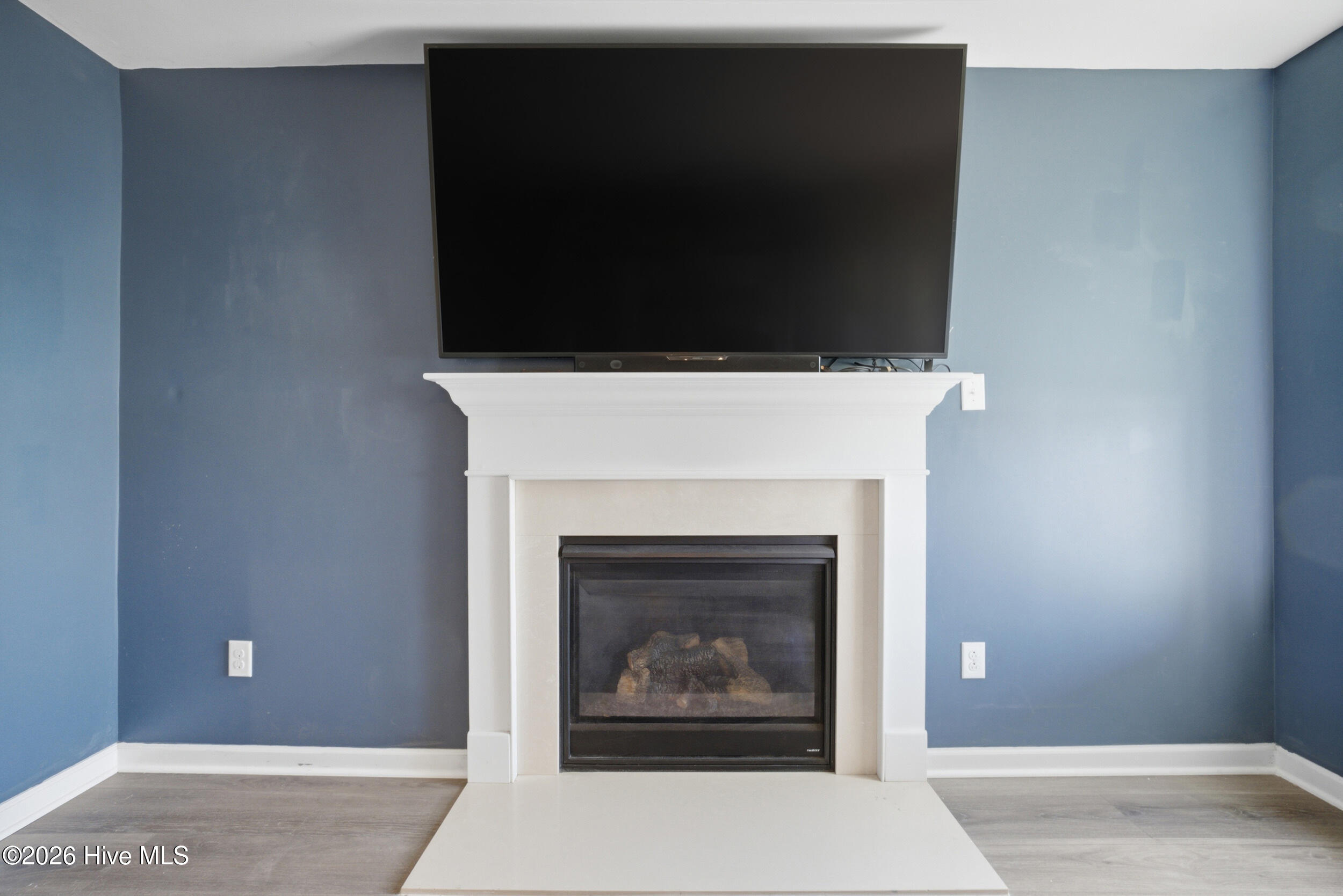 216 Sunny Lake Road Moyock, NC 27958 - Photo 8 of 37 Fireplace