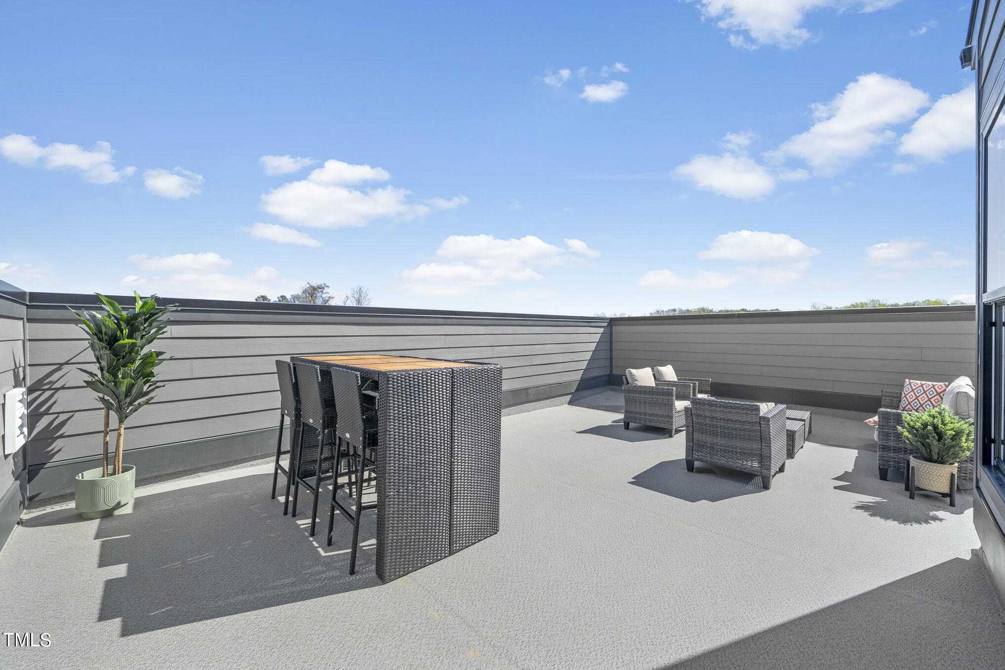 1208 South Person Street, Unit 201 Raleigh, NC 27601 - Photo 28 of 44 RIC_WLP_Julianne_Model_ rooftop terrace-