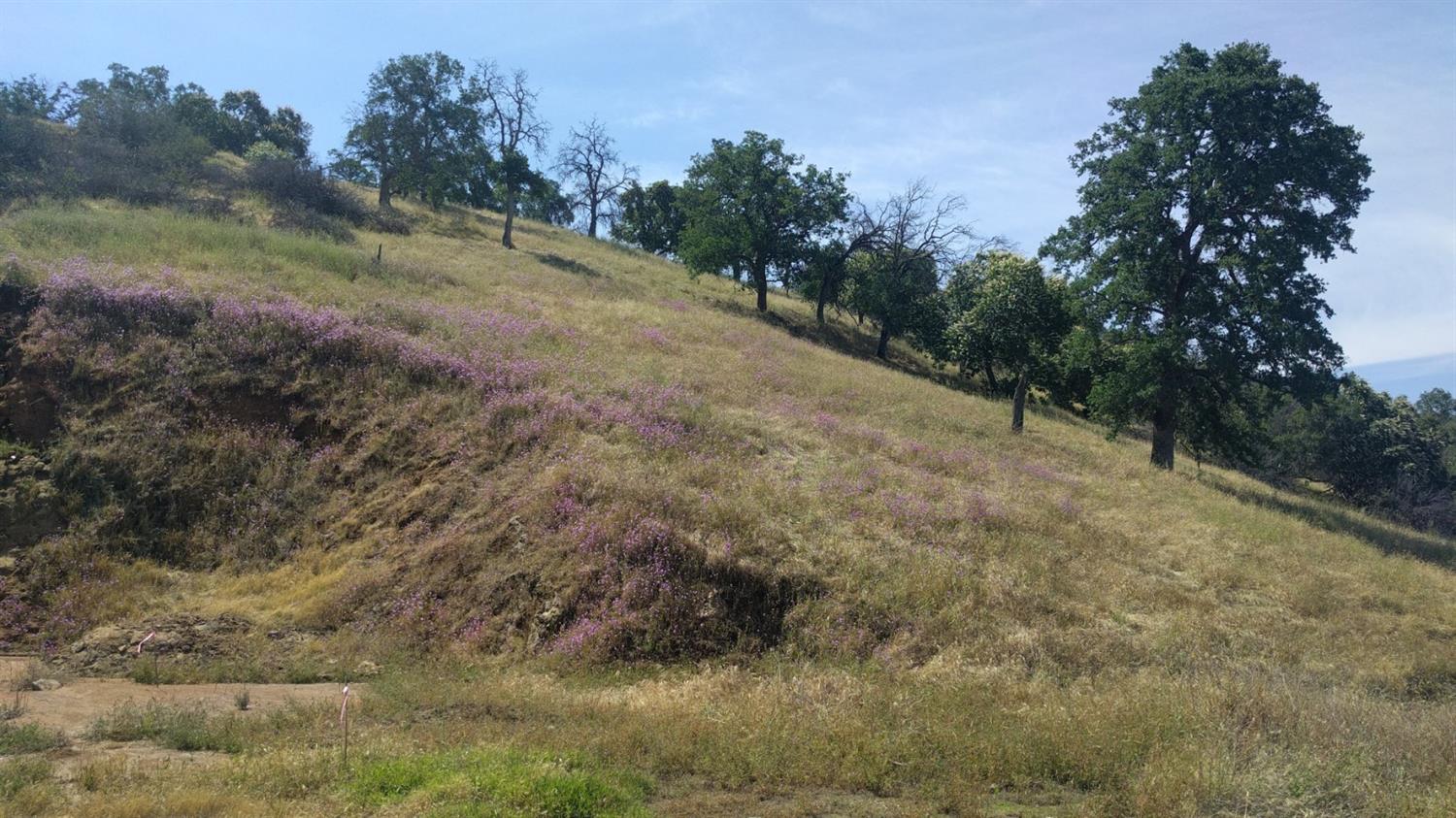 40837 Bear Creek Road Springville, CA 93265 - Photo 12 of 36 Hillside Above Lower Building Pad