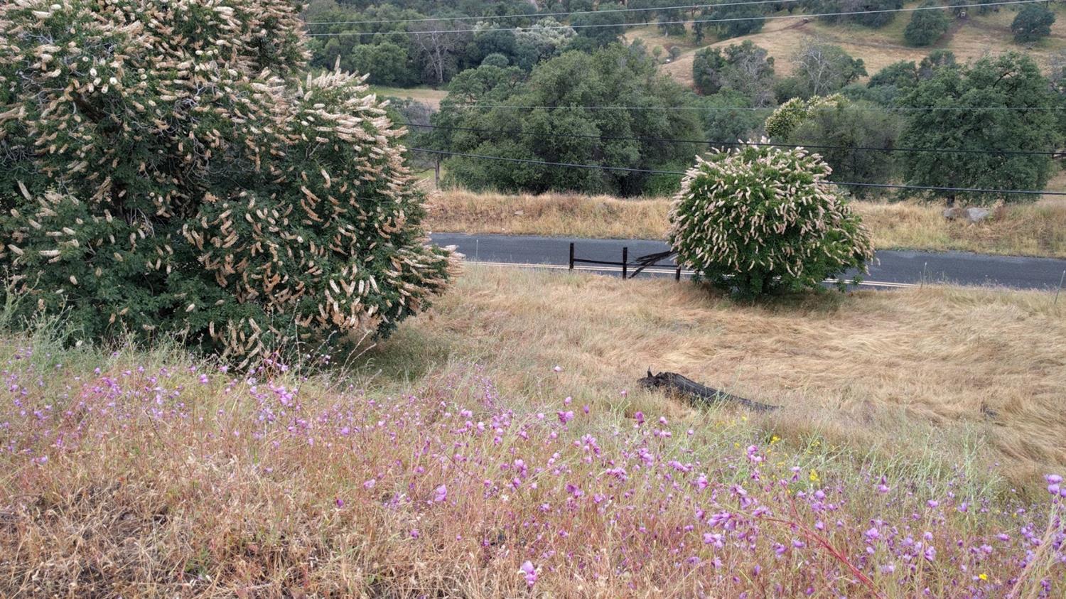 40837 Bear Creek Road Springville, CA 93265 - Photo 13 of 36 Bear Creek Drive as seen from lower pad